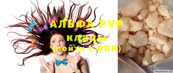 хмурый Алексин