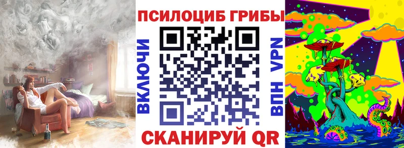 Галлюциногенные грибы Psilocybe  кракен зеркало  Петровск 