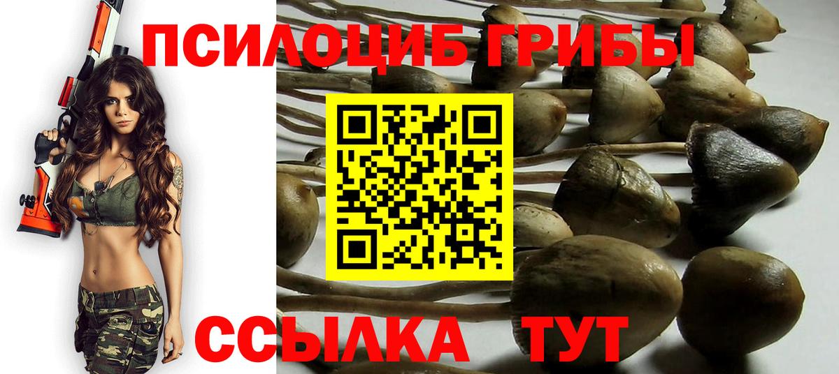 Галлюциногенные грибы мицелий  Вход с VPN  Петровск 